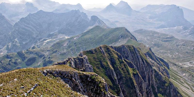 从文化探索到本末旅行：定制旅行如何重塑深度游新范式