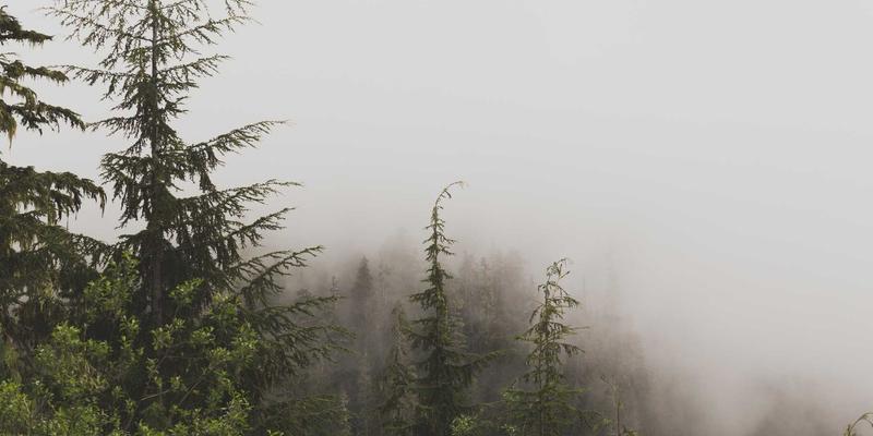 定制旅行76:以文化探索为本,开启本末旅行的深度体验