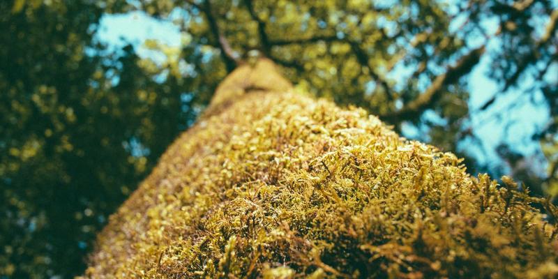 定制旅行:从个性化旅程到深度游,重新定义旅行意义