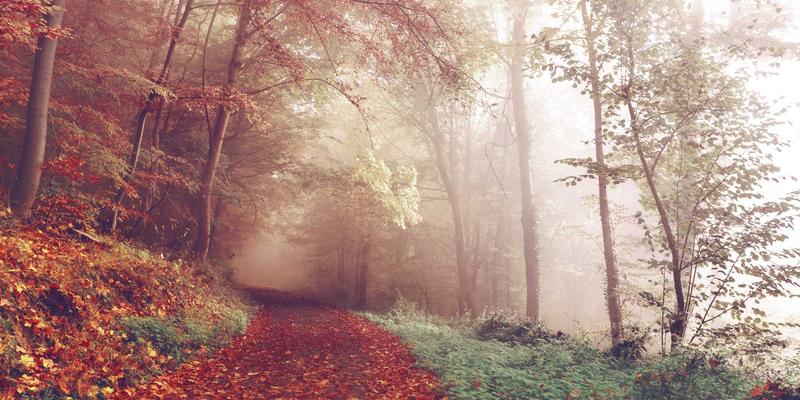 定制旅行：从标准化到个性化，开启深度游的黄金时代