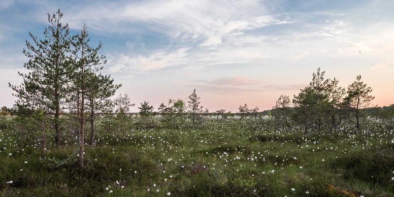 定制旅行:从标准化到个性化,重新定义旅行规划的艺术