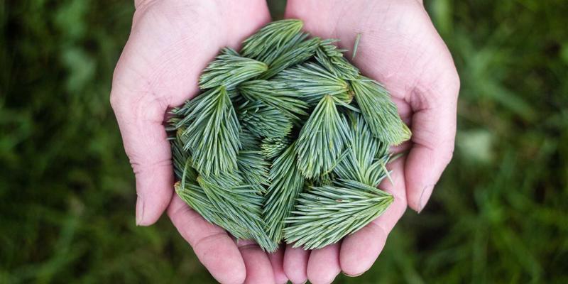 文化探索 vs 本末旅行：个性化旅程如何重塑现代旅行体验