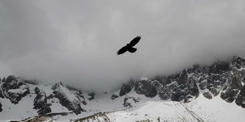 沉浸式文学朝圣之旅：跟随本末旅行，沿着伟大作家的足迹定制专属文化探索