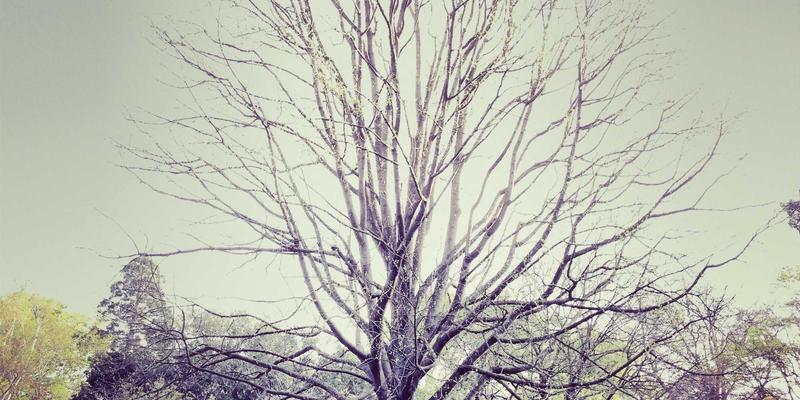 葡萄酒产区定制旅行：本末旅行带你开启个性化深度游，从庄园到品鉴的沉浸式文化探索