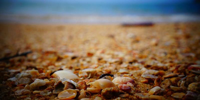 葡萄酒庄园收购考察定制旅行：本末旅行为投资者打造的产区深度评估与沉浸式体验